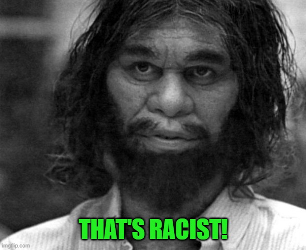 Geico Caveman | THAT'S RACIST! | image tagged in geico caveman | made w/ Imgflip meme maker