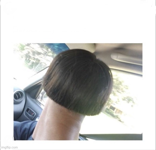 Bowl Cut | image tagged in bowl cut | made w/ Imgflip meme maker