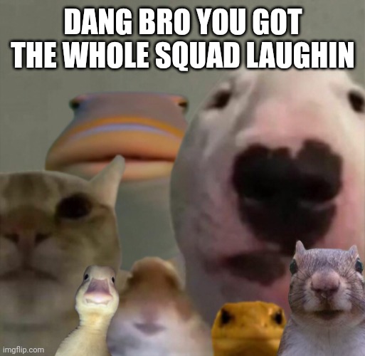 The council remastered | DANG BRO YOU GOT THE WHOLE SQUAD LAUGHIN | image tagged in the council remastered | made w/ Imgflip meme maker