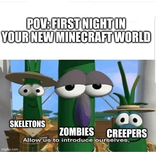 the three musketeers | POV: FIRST NIGHT IN YOUR NEW MINECRAFT WORLD; SKELETONS; ZOMBIES; CREEPERS | image tagged in allow us to introduce ourselves | made w/ Imgflip meme maker