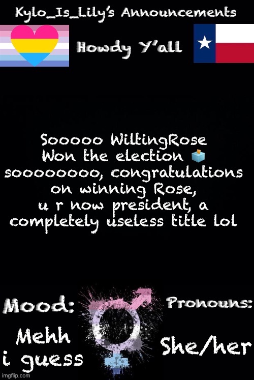 Lilys new temp | Sooooo WiltingRose Won the election 🗳️ soooooooo, congratulations on winning Rose, u r now president, a completely useless title lol; She/her; Mehh i guess | image tagged in lilys new temp | made w/ Imgflip meme maker