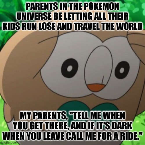 When I overthink stuff | PARENTS IN THE POKEMON UNIVERSE BE LETTING ALL THEIR KIDS RUN LOSE AND TRAVEL THE WORLD; MY PARENTS, "TELL ME WHEN YOU GET THERE, AND IF IT'S DARK WHEN YOU LEAVE CALL ME FOR A RIDE." | image tagged in rowlet meme template | made w/ Imgflip meme maker