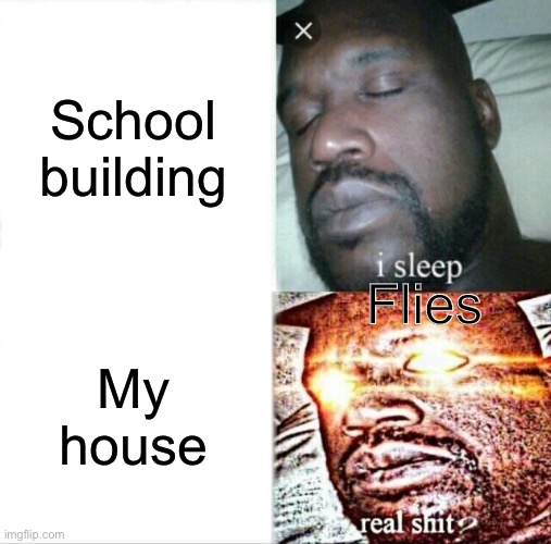 COME ON FLIES!!! TARGET SCHOOL!!! | School building; Flies; My house | image tagged in memes,sleeping shaq | made w/ Imgflip meme maker