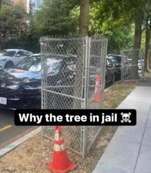 Why doe??? | made w/ Imgflip meme maker