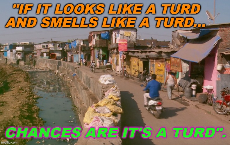 "If it looks like a turd and smells like a turd... chances are it's a turd". | "IF IT LOOKS LIKE A TURD AND SMELLS LIKE A TURD... CHANCES ARE IT'S A TURD". | image tagged in india's slum dwellers | made w/ Imgflip meme maker