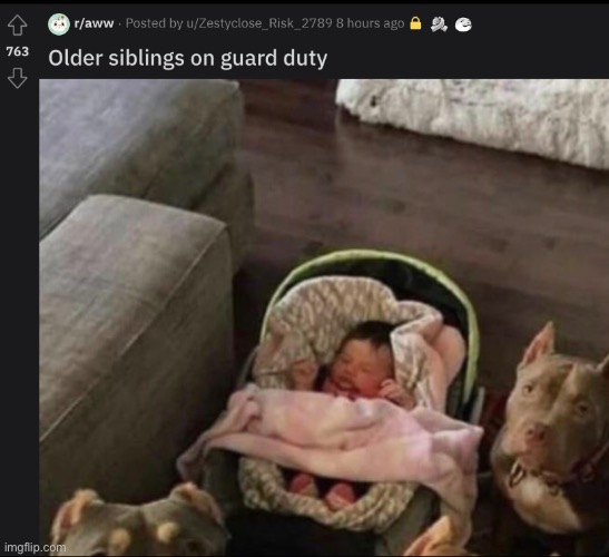 Aww | made w/ Imgflip meme maker