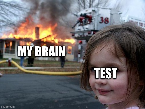 Disaster Girl | MY BRAIN; TEST | image tagged in memes,disaster girl | made w/ Imgflip meme maker