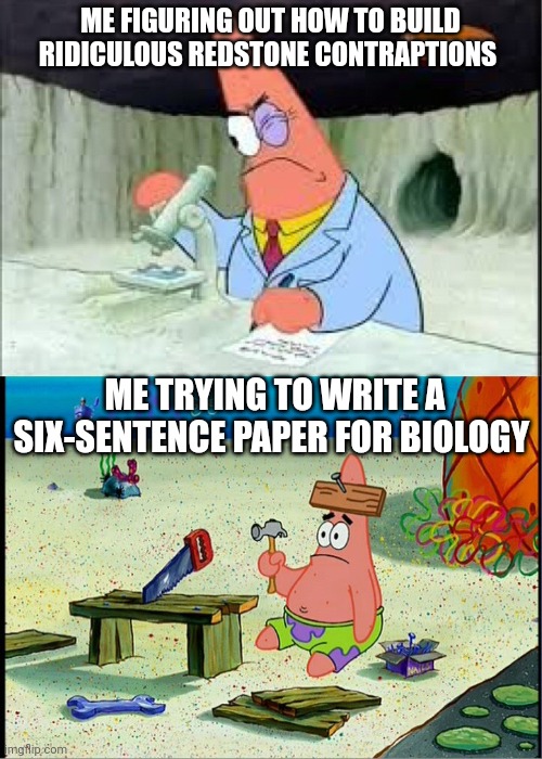 When you have a lot of time, you can figure something stuff out | ME FIGURING OUT HOW TO BUILD RIDICULOUS REDSTONE CONTRAPTIONS; ME TRYING TO WRITE A SIX-SENTENCE PAPER FOR BIOLOGY | made w/ Imgflip meme maker