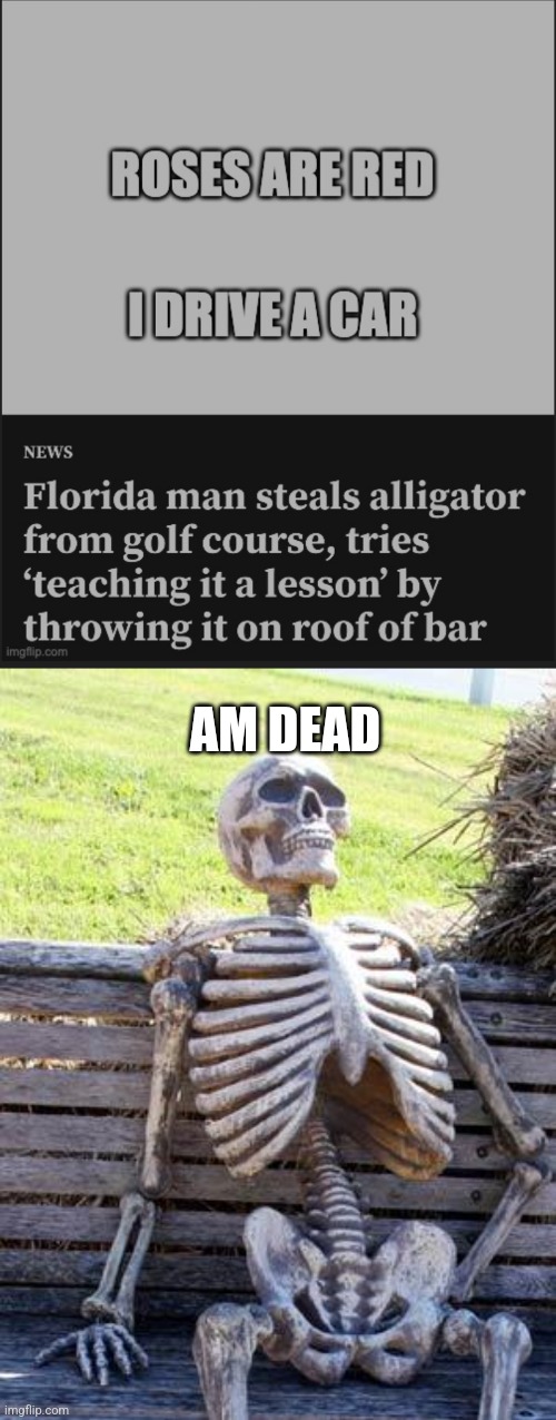 AM DEAD | image tagged in memes,waiting skeleton | made w/ Imgflip meme maker