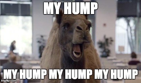An image tagged camel hump day.