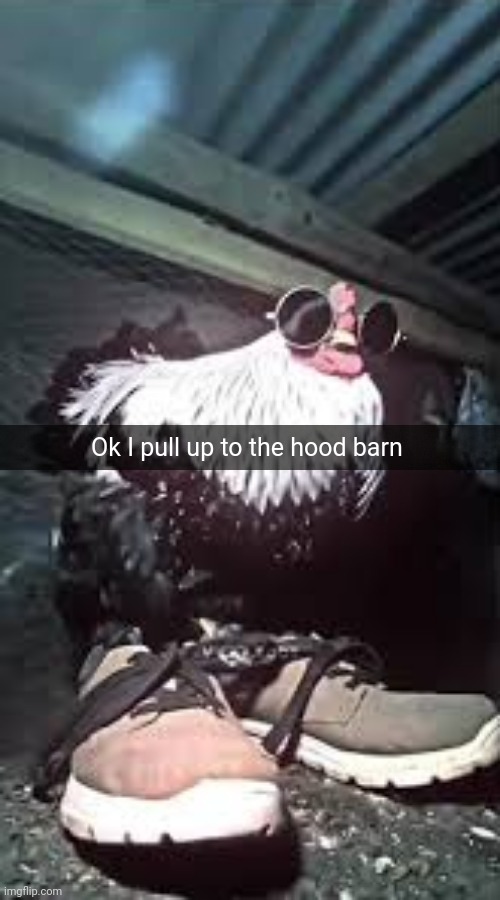 Hood barn | Ok I pull up to the hood barn | image tagged in chicken drip,hood,memes,barn,meme,chicken | made w/ Imgflip meme maker