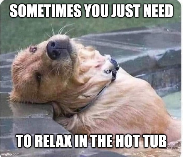 SOMETIMES YOU JUST NEED TO RELAX IN THE HOT TUB | made w/ Imgflip meme maker