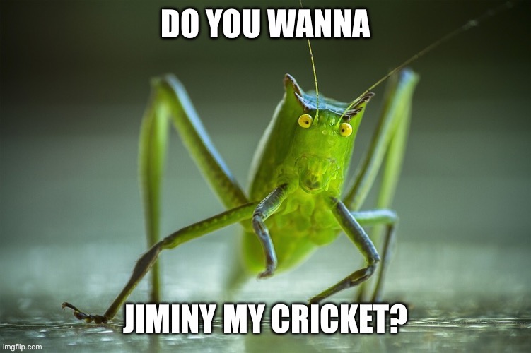 My Cricket | image tagged in cricket | made w/ Imgflip meme maker