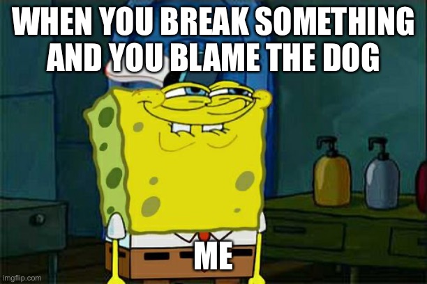 Don't You Squidward | WHEN YOU BREAK SOMETHING AND YOU BLAME THE DOG; ME | image tagged in memes,don't you squidward | made w/ Imgflip meme maker