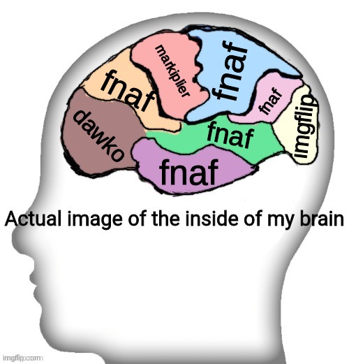 Actual image of the inside of my brain | fnaf; markiplier; fnaf; fnaf; imgflip; dawko; fnaf; fnaf | image tagged in actual image of the inside of my brain | made w/ Imgflip meme maker