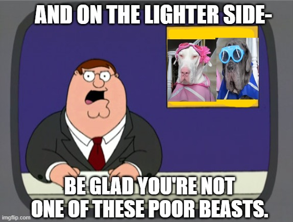 Peter Griffin News Meme | AND ON THE LIGHTER SIDE-; BE GLAD YOU'RE NOT ONE OF THESE POOR BEASTS. | image tagged in memes,peter griffin news | made w/ Imgflip meme maker