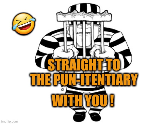 Puns | 🤣; STRAIGHT TO THE PUN-ITENTIARY; WITH YOU ! | image tagged in jailbird,bad puns | made w/ Imgflip meme maker