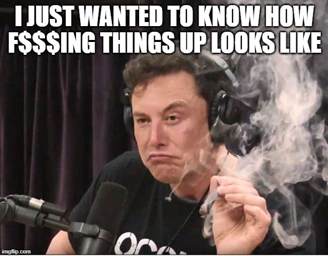 Elon Musk smoking a joint | I JUST WANTED TO KNOW HOW F$$$ING THINGS UP LOOKS LIKE | image tagged in elon musk smoking a joint | made w/ Imgflip meme maker