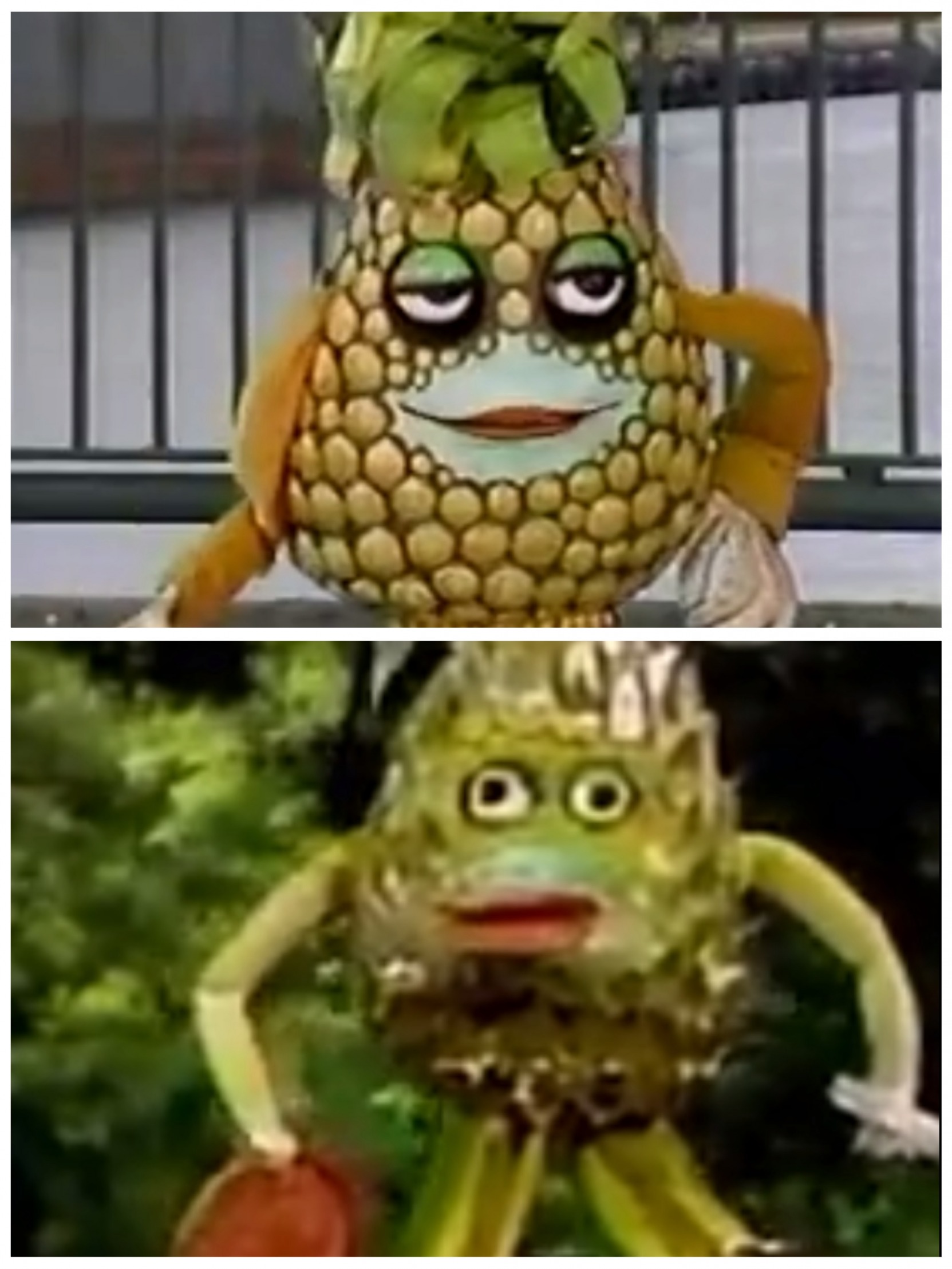 High Quality Ananas comparison Blank Meme Template
