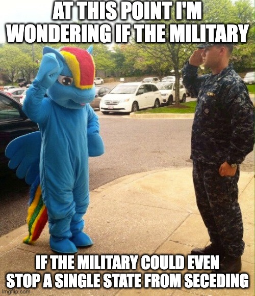 At this point I'm wondering if the military could even stop a single state from seceding | AT THIS POINT I'M WONDERING IF THE MILITARY; IF THE MILITARY COULD EVEN STOP A SINGLE STATE FROM SECEDING | image tagged in my little pony,my little pony friendship is magic,my little pony meme week,us military,military humor,military | made w/ Imgflip meme maker