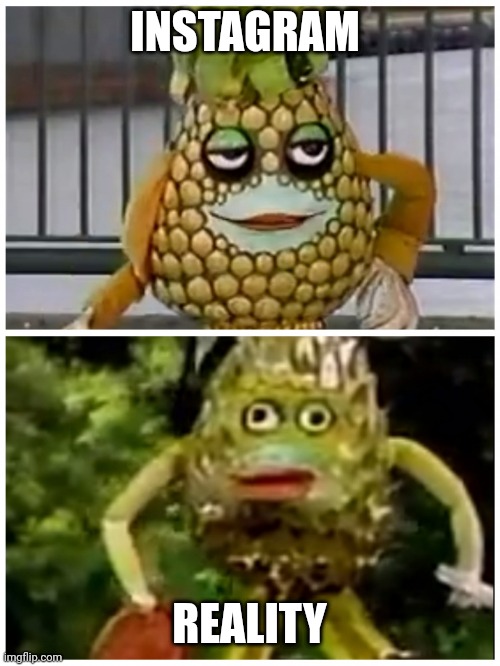 Ananas comparison | INSTAGRAM; REALITY | image tagged in ananas comparison | made w/ Imgflip meme maker