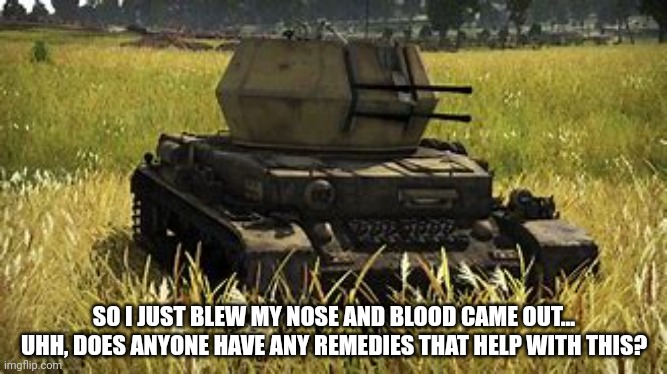 I just want the remedy | SO I JUST BLEW MY NOSE AND BLOOD CAME OUT... UHH, DOES ANYONE HAVE ANY REMEDIES THAT HELP WITH THIS? | image tagged in wirbelwind | made w/ Imgflip meme maker