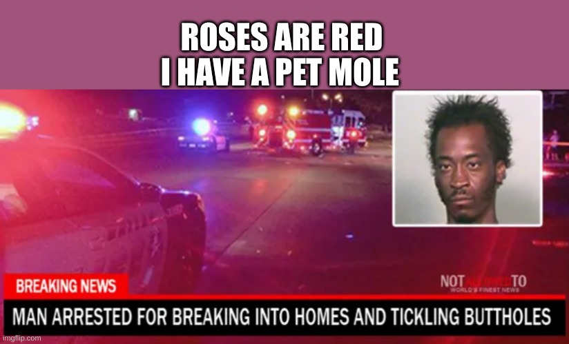 the heck is going on in ohio | ROSES ARE RED; I HAVE A PET MOLE | image tagged in ohio | made w/ Imgflip meme maker
