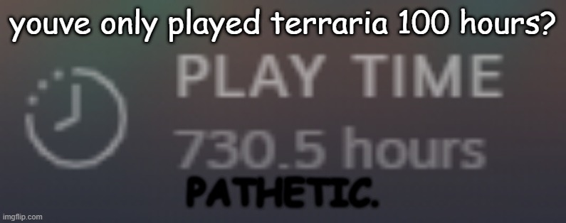 when youve only played for 100 hours |  youve only played terraria 100 hours? PATHETIC. | image tagged in pathetic | made w/ Imgflip meme maker