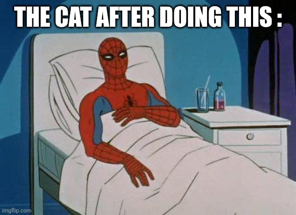 Spiderman Hospital Meme | THE CAT AFTER DOING THIS : | image tagged in memes,spiderman hospital,spiderman | made w/ Imgflip meme maker