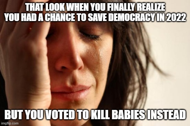 First World Problems Meme | THAT LOOK WHEN YOU FINALLY REALIZE YOU HAD A CHANCE TO SAVE DEMOCRACY IN 2022; BUT YOU VOTED TO KILL BABIES INSTEAD | image tagged in memes,first world problems | made w/ Imgflip meme maker