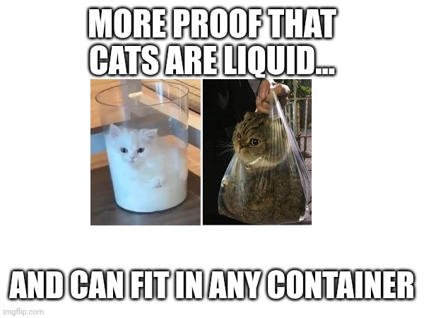 MORE PROOF THAT CATS ARE LIQUID... AND CAN FIT IN ANY CONTAINER | made w/ Imgflip meme maker