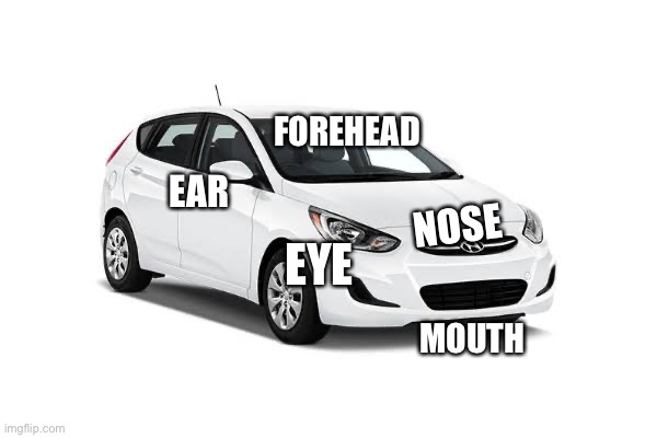 FOREHEAD; EAR; NOSE; EYE; MOUTH | image tagged in memes,funny | made w/ Imgflip meme maker