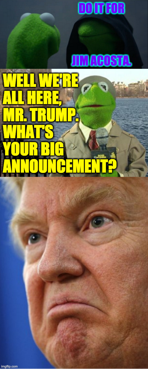 Dems hold the Senate (or "The press conference is canceled!  Get the f@&% off my lawn!!!") | DO IT FOR
 
 
 
JIM ACOSTA. WELL WE'RE
ALL HERE,
MR. TRUMP.
WHAT'S
YOUR BIG
ANNOUNCEMENT? | image tagged in memes,evil kermit,kermit news report,lol | made w/ Imgflip meme maker