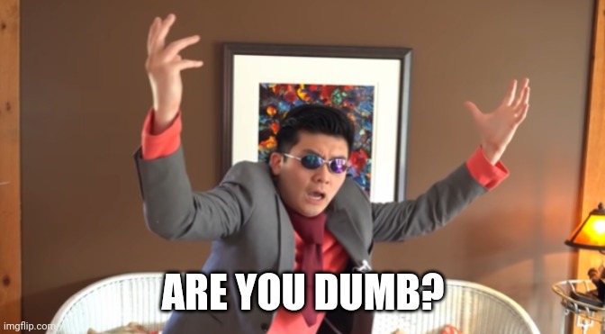 WHAT THE HAIL?! | ARE YOU DUMB? | image tagged in what the hail | made w/ Imgflip meme maker