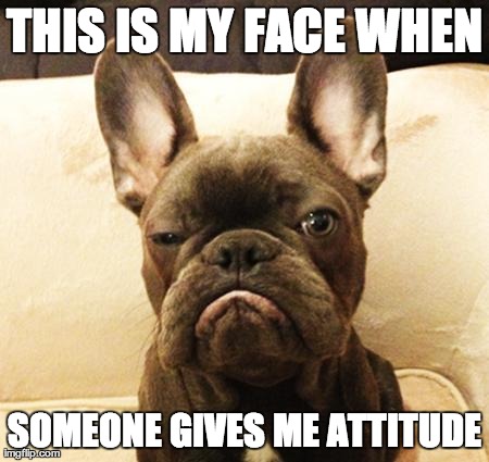 THIS IS MY FACE WHEN SOMEONE GIVES ME ATTITUDE | image tagged in frank the funny frenchy | made w/ Imgflip meme maker