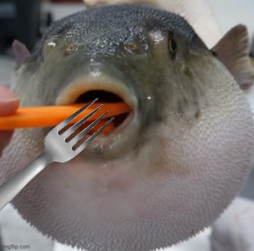 pufferfish eating carrot | image tagged in pufferfish eating carrot | made w/ Imgflip meme maker