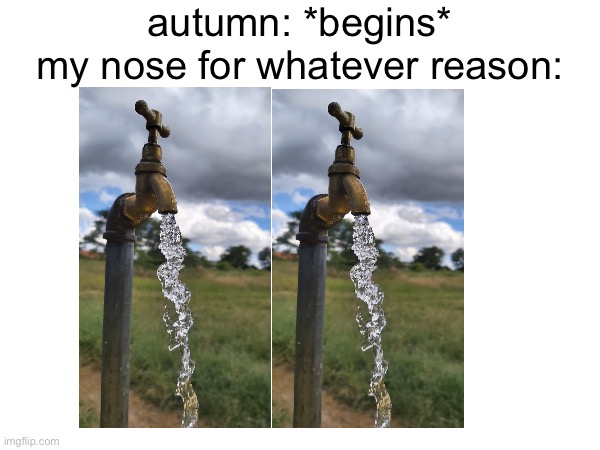 i always get a cold when autumn begins and idk why | autumn: *begins*
my nose for whatever reason: | image tagged in memes,unfunny,disgusting | made w/ Imgflip meme maker