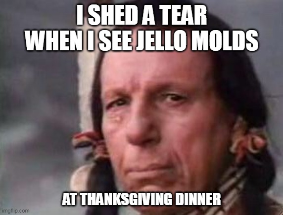 I shed a tear when I see jello molds at thanksgiving dinner | I SHED A TEAR WHEN I SEE JELLO MOLDS; AT THANKSGIVING DINNER | image tagged in native american single tear,funny,thanksgiving,jello mold,thanksgiving dinner,holidays | made w/ Imgflip meme maker