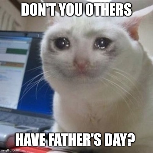 It's today. Don't you have it? ): | DON'T YOU OTHERS; HAVE FATHER'S DAY? | image tagged in crying cat | made w/ Imgflip meme maker