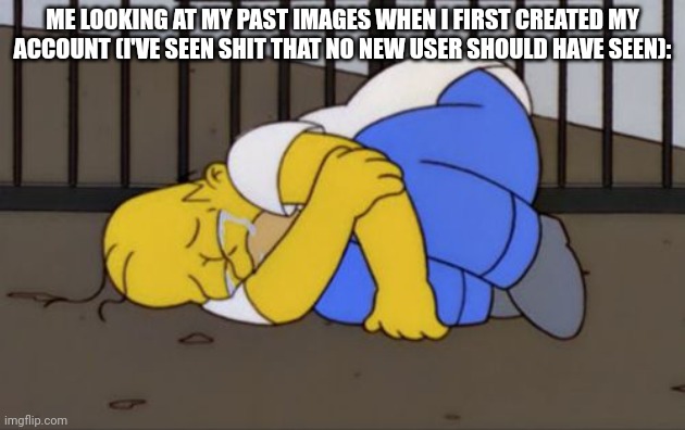 Fetal Position Homer | ME LOOKING AT MY PAST IMAGES WHEN I FIRST CREATED MY ACCOUNT (I'VE SEEN SHIT THAT NO NEW USER SHOULD HAVE SEEN): | image tagged in fetal position homer | made w/ Imgflip meme maker