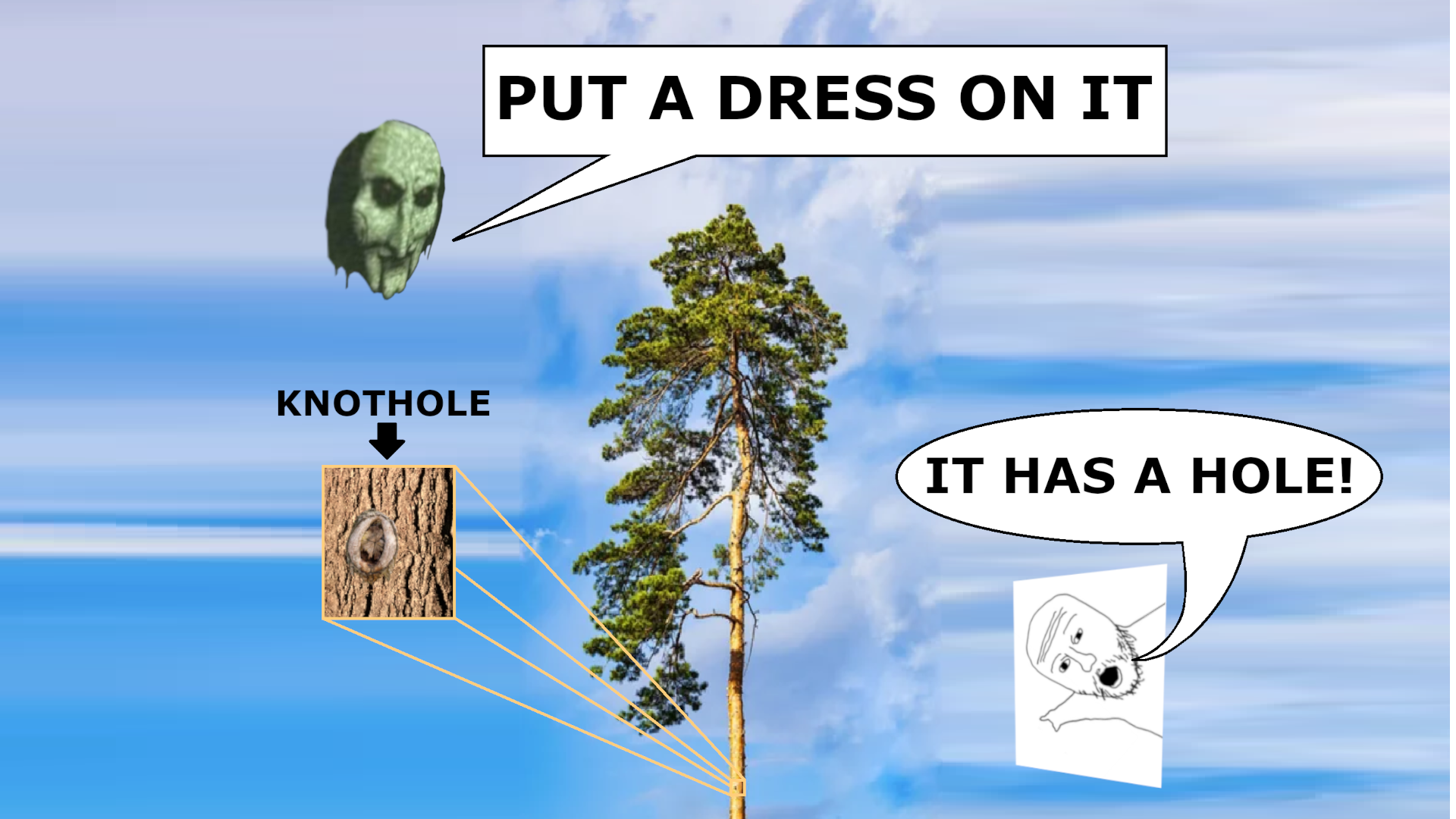 PUT A DRESS ON IT Blank Meme Template