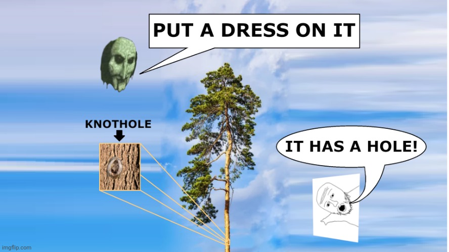 PUT A DRESS ON IT | image tagged in put a dress on it | made w/ Imgflip meme maker