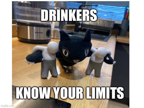 Drunk Cat | DRINKERS; KNOW YOUR LIMITS | image tagged in funny,cat | made w/ Imgflip meme maker