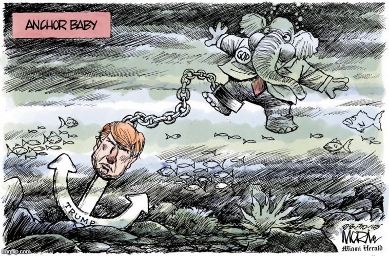 anchor baby, HAHA! | image tagged in scumbag republicans,death wish,bye felicia | made w/ Imgflip meme maker