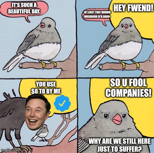 Interrupting bird | HEY FWEND! IT'S SUCH A BEAUTIFUL DAY. AT LEAST THAT HORRID MUSKBIRD IS'N AROU-; YOU USE $8 TO BY ME; SO U FOOL COMPANIES! WHY ARE WE STILL HERE
JUST TO SUFFER? | image tagged in interrupting bird | made w/ Imgflip meme maker