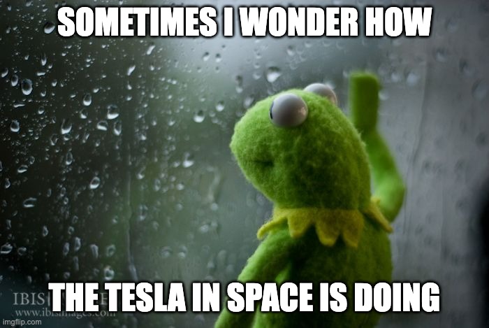 Tesla In Space |  SOMETIMES I WONDER HOW; THE TESLA IN SPACE IS DOING | image tagged in kermit window,space hoax,space is fake,tesla roadster | made w/ Imgflip meme maker