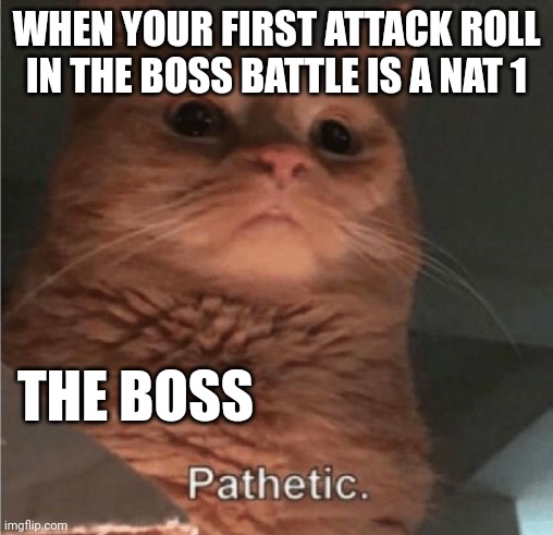 This always happens to me... |  WHEN YOUR FIRST ATTACK ROLL IN THE BOSS BATTLE IS A NAT 1; THE BOSS | image tagged in pathetic cat,dnd,dungeons and dragons,tabletop | made w/ Imgflip meme maker