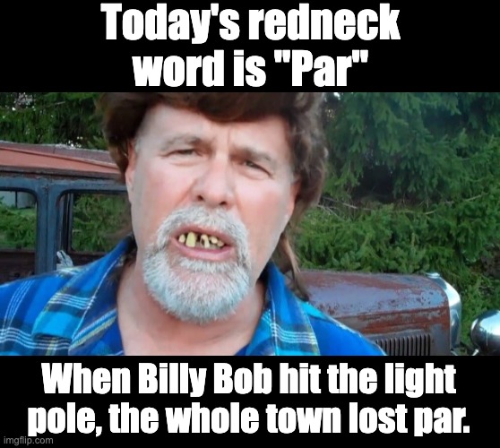 Par | Today's redneck word is "Par"; When Billy Bob hit the light pole, the whole town lost par. | image tagged in redneck motors | made w/ Imgflip meme maker