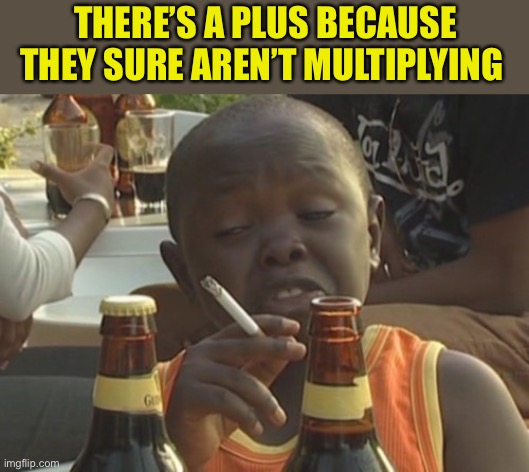 Smoking kid,,, | THERE’S A PLUS BECAUSE THEY SURE AREN’T MULTIPLYING | image tagged in smoking kid | made w/ Imgflip meme maker