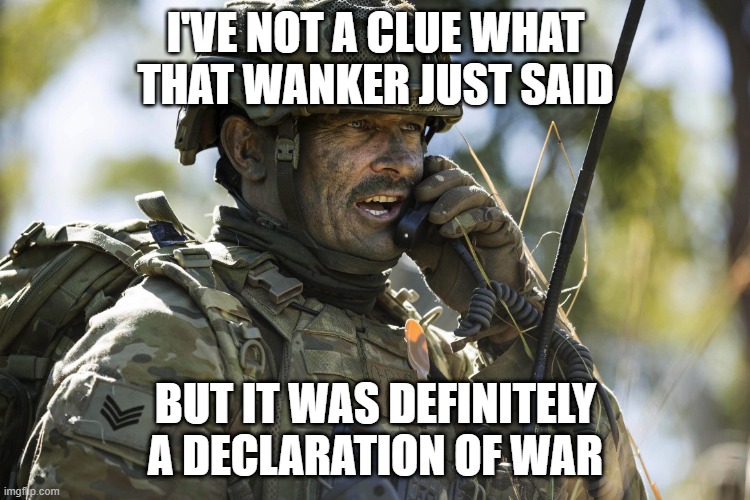 Declaration of war | I'VE NOT A CLUE WHAT THAT WANKER JUST SAID; BUT IT WAS DEFINITELY A DECLARATION OF WAR | image tagged in australian army infantry sgt talking on radio | made w/ Imgflip meme maker